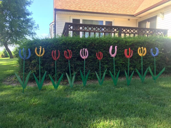 Horseshoe Tulips