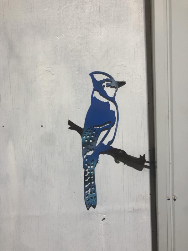 Blue Jay