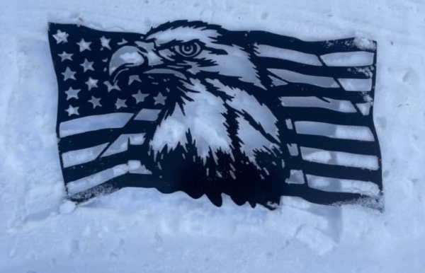 Eagle in Flag