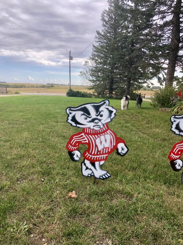 Bucky Badger Wisconsin