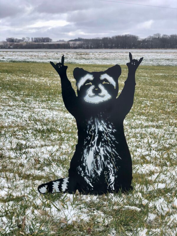 Raccoon Rock n' Roll